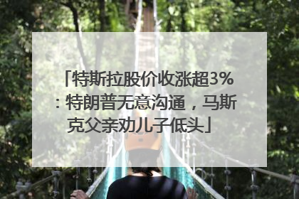 特斯拉股价收涨超3%：特朗普无意沟通，马斯克父亲劝儿子低头